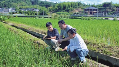 浙江杭州市臨安區(qū)：紀(jì)委監(jiān)督惠農(nóng)項(xiàng)目發(fā)展